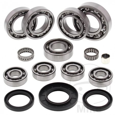 Kit Reparación Rodamiento Diferencial All Balls | Motos Camaral