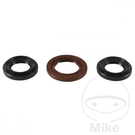 Kit Rodamiento Diferencial Trasero AllBalls | Motos Camaral