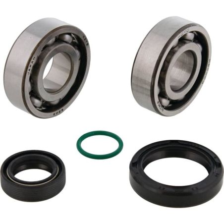 ALL BALLS Crankshaft Bearing Kit - motoscamaralweb.com