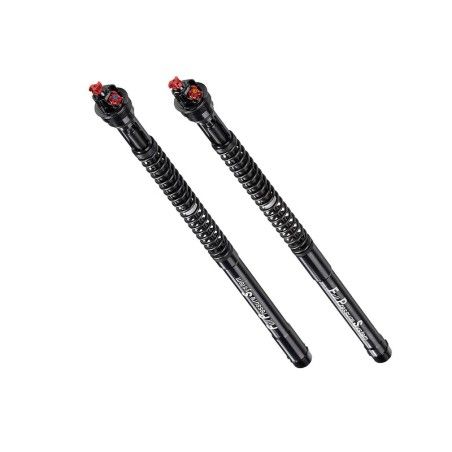 FORK CARTRIDGES FOR KAWASAKI ZX10R '11- motoscamaralweb.com