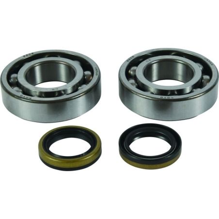 ALL BALLS Crankshaft Bearing &amp; Oil Seal Kit - motoscamaralweb.com