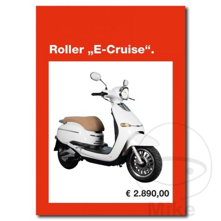 Flyer Scooter E-CRUISE Pack 20 uds | Motos Camaral