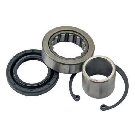 ALL BALLS Primary Inner Bearing &amp; Seal Kit OEM - motoscamaralweb.com