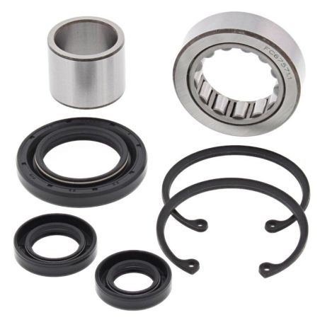 ALL BALLS Primary Inner Bearing &amp; Seal Kit OEM - motoscamaralweb.com