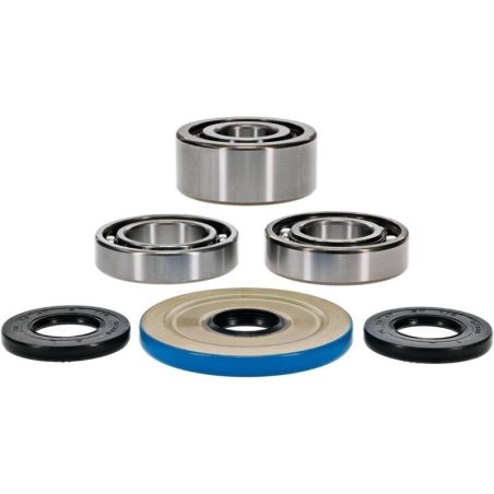 ALL BALLS Front Differential Bearing &amp; Seal Kit - motoscamaralweb.com