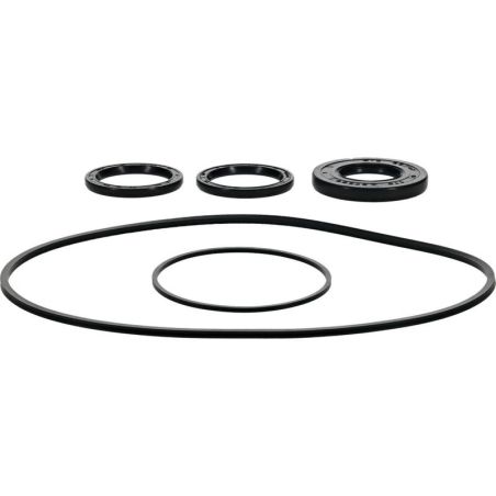 ALL BALLS Front Differential Seal Kit - motoscamaralweb.com