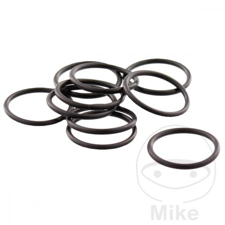 O-Rings de Reemplazo para 6110013 (10 uds) | Motos Camaral
