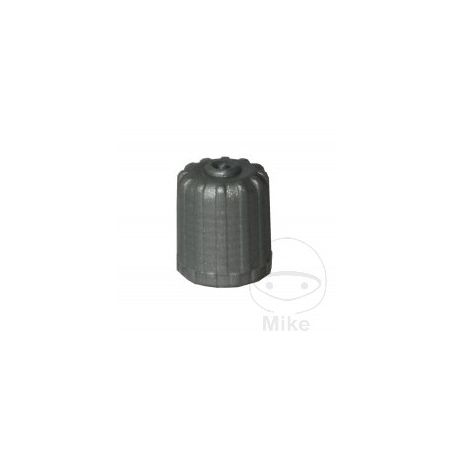 Tapa Válvula Presión Neumáticos Gris Schrader (Pack 25) | Motos Camaral