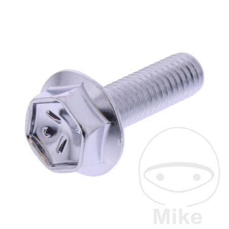 Tornillo Tapa de Válvula OEM | Recambio Original | Motos Camaral