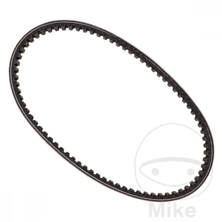Correa de transmisión Mitsuboshi 22.4X825 | Motos Camaral