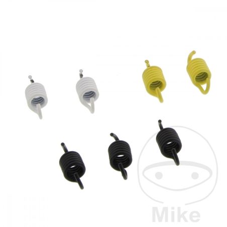 Muelles Zapatas Embrague Malossi | Motos Camaral