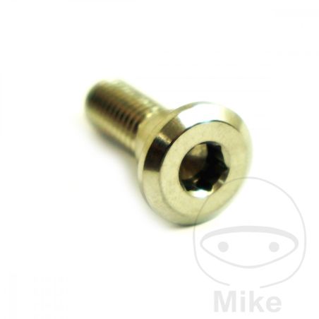 Tornillo Disco Freno JMP M8x1.25 24mm Inox V4A | Motos Camaral