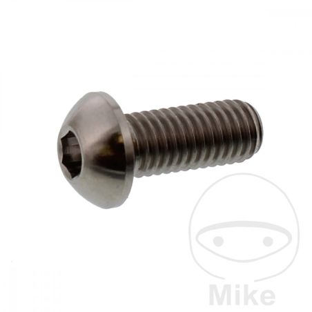 Tornillo Disco de Freno JMP M8x1.25 20mm Titan | Motos Camaral