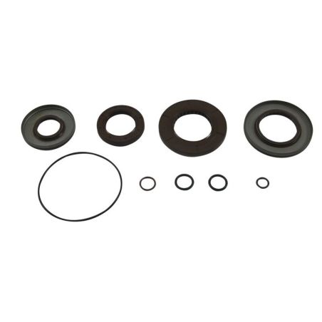 ALL BALLS Transaxle Seal Kit - motoscamaralweb.com