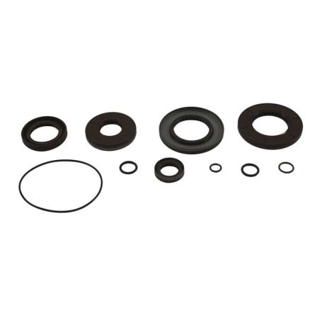 ALL BALLS Transaxle Seal Kit - motoscamaralweb.com
