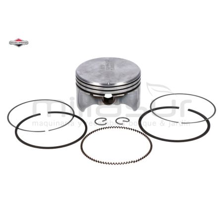 PISTON - motoscamaralweb.com