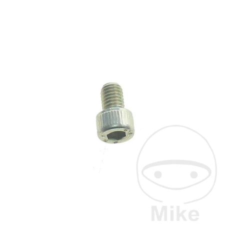 Tornillo Vaciado Aceite M8 x 12 mm OEM | Motos Camaral