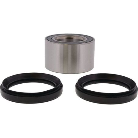 ALL BALLS Wheel Bearing Kit - motoscamaralweb.com