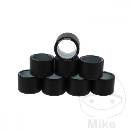 Rodillos Variador Malossi 25x19mm 17.0g (8 piezas) | Motos Camaral