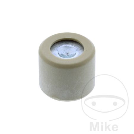 Rodillo Variador 25.1g 20x17mm OEM | Recambio Original | Motos Camaral