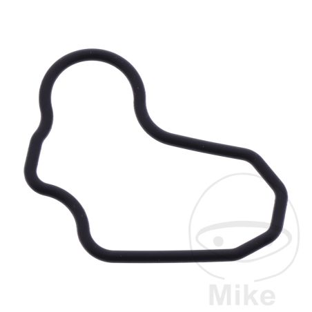 Junta Tamiz de Aceite OEM | Recambio Original | Motos Camaral