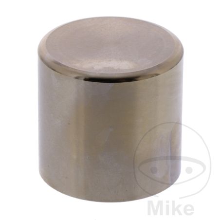 Pistón Pinza de Freno Tourmax | Recambios Moto | Motos Camaral