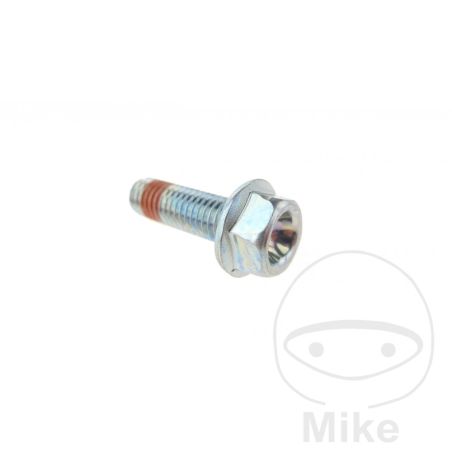 Tornillo Pinza de Freno OEM M8x25mm | Recambio Original | Motos Camaral