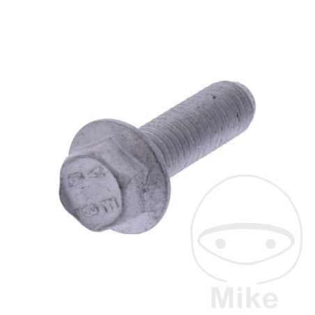 Tornillo Tapa de Válvula OEM | Recambio Original | Motos Camaral
