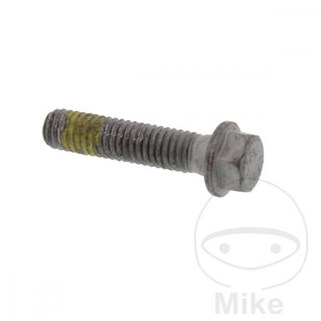 Tornillo Disco de Freno OEM M6X1X26MM | Motos Camaral