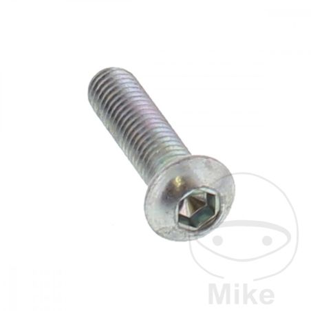 Tornillo Disco de Freno OEM M6X1X25MM | Recambio Original | Motos Camaral