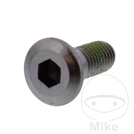 Tornillo Disco de Freno OEM M8x1.25x22mm | Motos Camaral