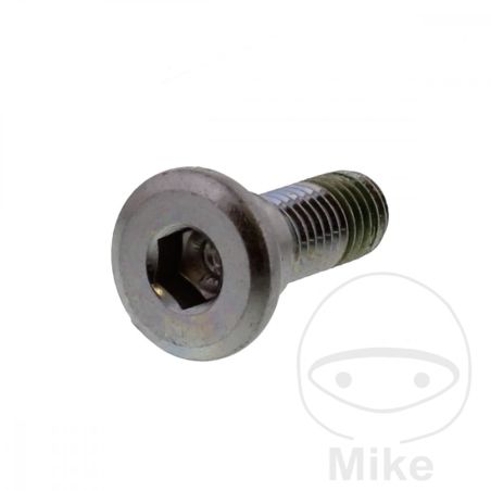 Tornillo Disco de Freno OEM M8x1.25x24mm | Recambio Original | Motos Camaral