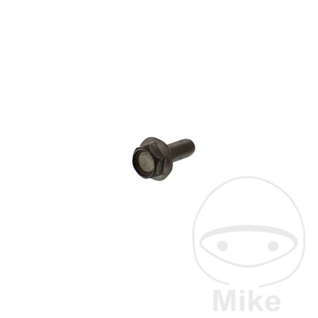 Tornillo Disco de Freno OEM M6X1X16MM | Recambio Original | Motos Camaral