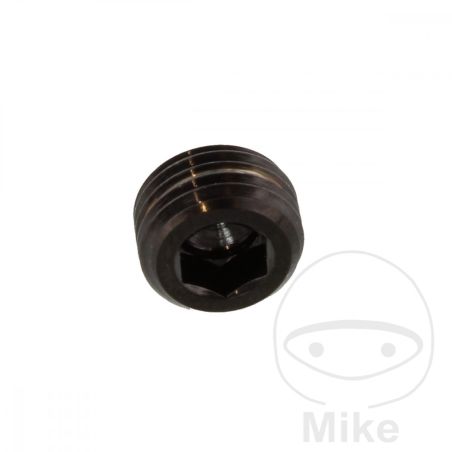 Tapón para Pasador Inox V4A Negro | Motos Camaral