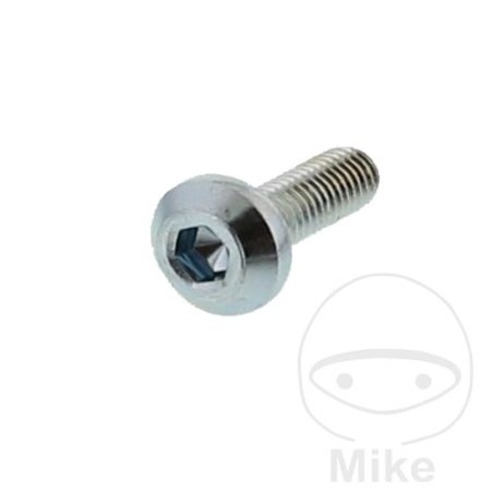 Tornillo Disco de Freno OEM M8x1.25x25mm | Motos Camaral