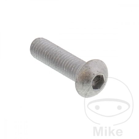 Tornillo Disco de Freno OEM M8 x 30mm | Motos Camaral