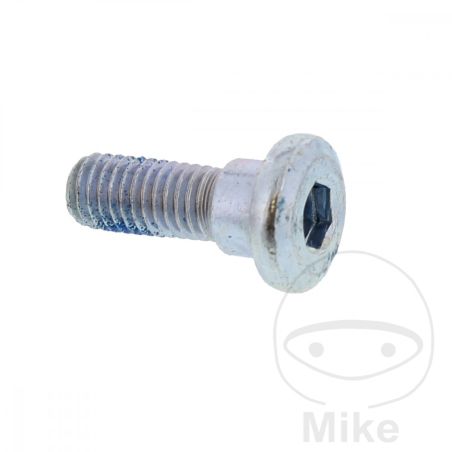 Tornillo Disco de Freno M8x1.25x24mm OEM | Motos Camaral