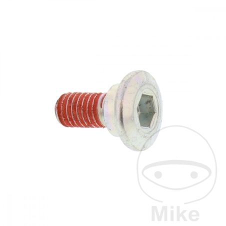 Tornillo Disco de Freno OEM M6X1X14MM | Motos Camaral