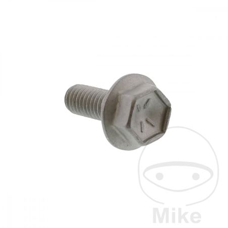 Tornillo Disco de Freno OEM M6X1X16MM | Recambio Original | Motos Camaral