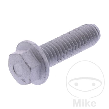 Tornillo Tapa de Válvula OEM | Recambio Original | Motos Camaral