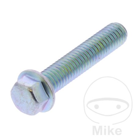 Tornillo Tapa de Válvula OEM | Recambio Original | Motos Camaral