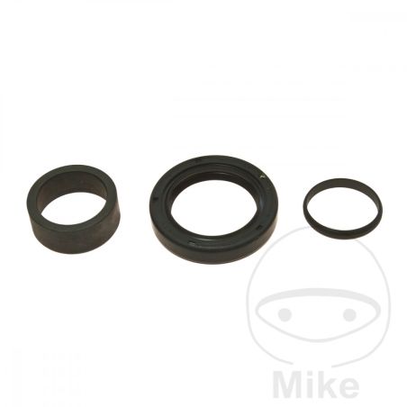 Kit Reparación Árbol de Salida AllBallsRacing | Motos Camaral