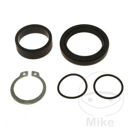 Kit Reparación Árbol de Salida AllBallsRacing | Motos Camaral