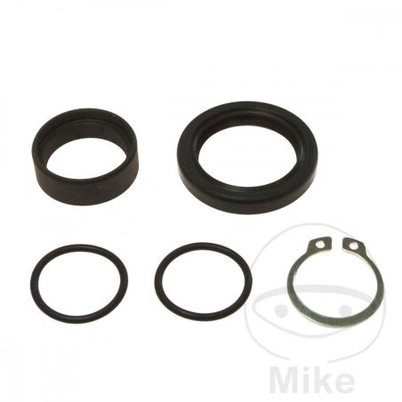 Kit Reparación Árbol de Salida AllBallsRacing | Motos Camaral