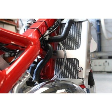 Protector de radiador AXP aluminio rojo Beta RR125 - motoscamaralweb.com