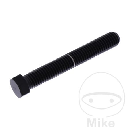 Tornillo de Ajuste de Eje M8x1.25 55mm Inox V4A Negro | Motos Camaral