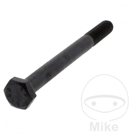 Tornillo 10X110 8G para KIPPZYLINDER Monty 3300 | Motos Camaral