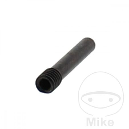 Tornillo de Montaje M5 para Desmontadora Hofmann | Motos Camaral