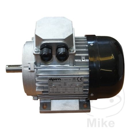 Motor 3PH Monty 2-SPEED 30904 | Recambios Desmontadora | Motos Camaral