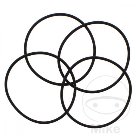 AC O-Ring para LUFTMOTOR + WAGENHEBER | Motos Camaral
